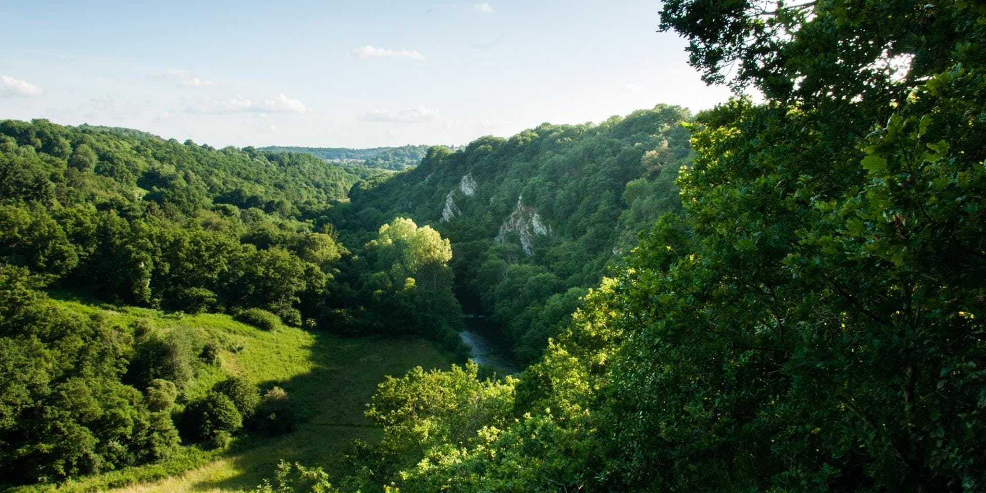 Jour 6 : L’Avenue Verte, une Aventure Inoubliable 