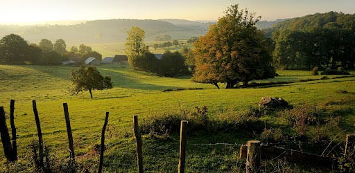 Jour 2 : Trésors Cachés de la Vallée de Chevreuse 